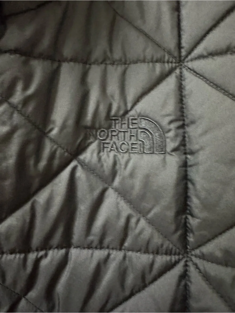 The North Face Men’s Black Quilted Hooded Puffer Jacket